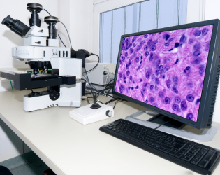 Digital pathology